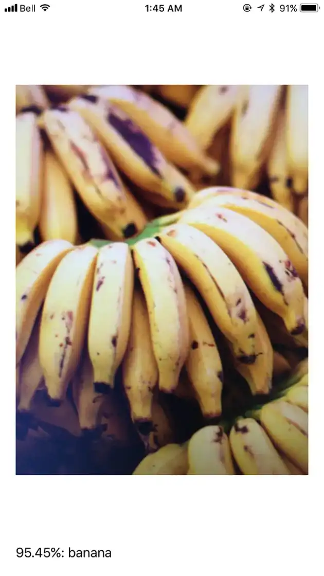 correctly recognizes an image of bananas